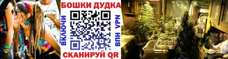 Бошки Шишки ГИДРОПОН Череповец